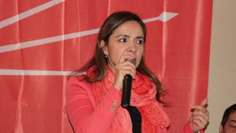CHP'li İlgezdi 'Martı'nın yasaklanmasına tepki gösterdi!