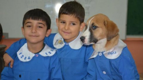 Köy okulunun maskotu olan 'Fındık' adlı köpek hastalandı!