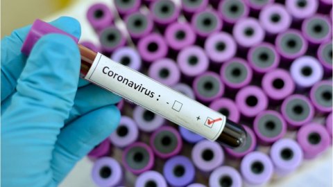 Türkiye'de koronavirüssüz il var mı?