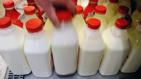 Çin'e süt ve süt ürünleri ihracatının önü açıldı