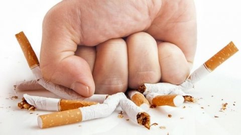 Tütün ürünleri her yıl kaç insanın ölümüne yol açıyor?