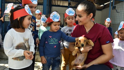 CHP'li İzmir Büyükşehir Belediyesi sokak hayvanları için merkez kuruyor