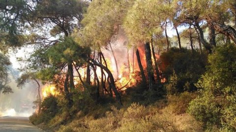 Heybeliada'daki orman yangınına ilişkin soruşturma