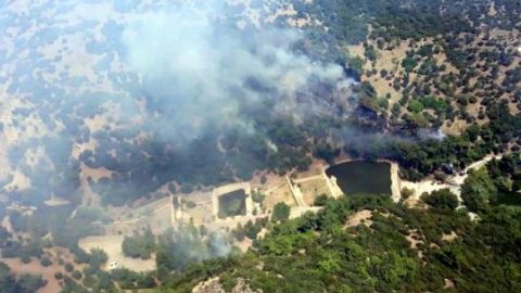 İzmir'in ünlü Homeros Vadisi'nde orman yangını