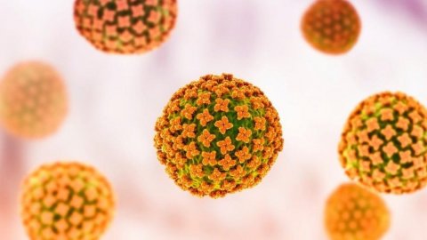 Çin’de görülen Bunyavirüs nasıl bulaşır, belirtileri neler?