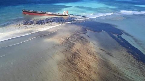 Morityus'ta okyanusa petrol sızıntısı nedeniyle çevresel acil durum ilan edildi