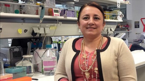 Prof. Dr. Nesrin Özören: Kovid-19 aşısında hayvan deneyi aşamasına geçildi