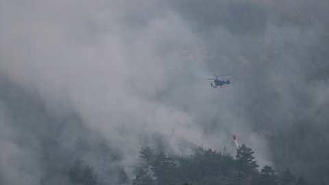 Adana'da orman yangını! Bazı evler tahliye edildi