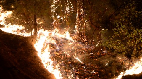 Kahramanmaraş'ta orman yangını! Evler boşaltılıyor