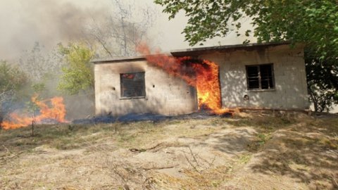 Osmaniye'de ormanlık alanda yangın! Alevler evlere de sıçradı