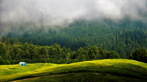 Türkiye ormanları sera gazı salınımının yüzde 16’sını tutuyor