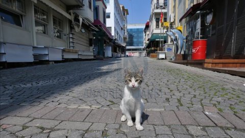 FLAŞ! İstanbul'da sokağa çıkma yasağı mı geliyor?