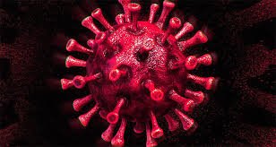 Koronavirüs sonrası antikor seviyeleri 'hızla düşüyor'