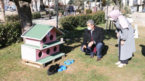 Yozgat Belediyesi sokak kediler için 20 barınak yaptırdı