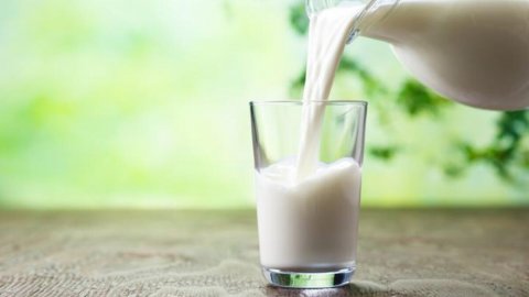 Koç Grubu 240 milyonluk satışla süt sektöründen çıktı