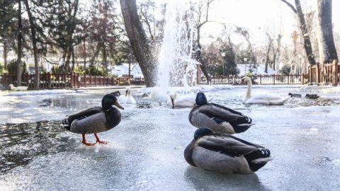 Ankara'da göller ve havuzlar buz tuttu