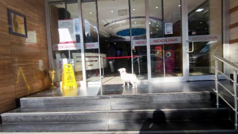 Trabzon'da sahibini 5 gündür hastane kapısında bekleyen köpek, dünya basınında