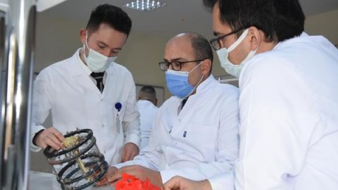 Türk bilim insanları, kudret narının kemik kırığı tedavisinde kullanılabileceğini ispatladı