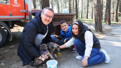 Başkan Yasin Kartoğlu iki yavru sokak köpeğini sahiplendi