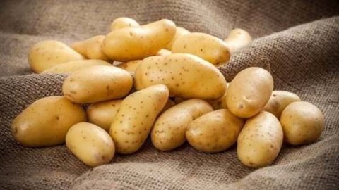 Murat Muratoğlu: Kendilerine Mercedes millete patates