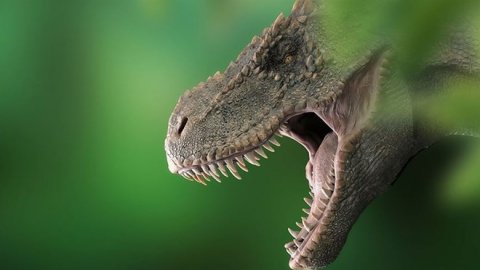 Dinozor araştırması: 2 milyon yıl boyunca 2,5 milyar T-rex yaşamış