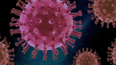 Oxford Profesörü koronavirüs ile mücadeleyi satranca benzetti: Ne yönde değişeceğini tahmin etmek zor