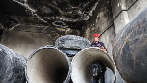 İstanbul itfaiyesi K9 merkezi kurdu... Hayat kurtaracak köpekleri yetiştiriyor