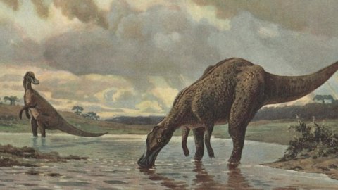Alaska'da 70 milyon yıl önce dinozorların yaşadığına dair yeni kanıtlar bulundu