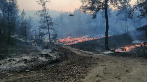 4 kentte orman yangını 