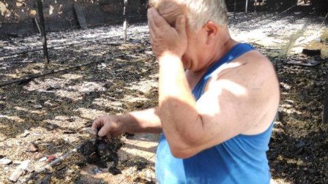 Yangında 12 bin hindi yavrusu öldü, çiftlik sahibi gözyaşı döktü