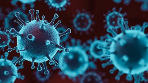 Bilim insanları keşfetti! Çin'de bilinmeyen 28 farklı virüs örneği tespit edildi