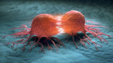 DSÖ'den umutlandıran açıklama: 3 kanser türü yok olabilir