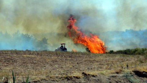 Manavgat'ta 4 ayrı noktada orman yangını