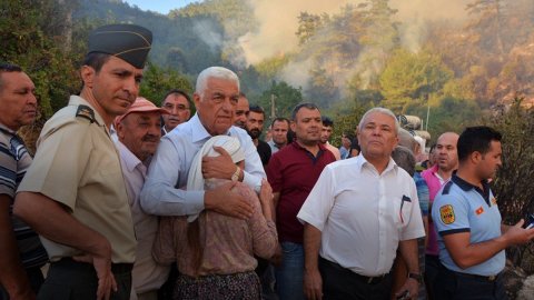 Muğla Belediye Başkanı canlı yayında isyan etti: Yangın için THK'den kimseye ulaşamadım