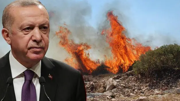 Cumhurbaşkanı Erdoğan'dan orman yangınlarıyla ilgili açıklama