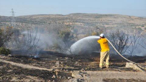 Çanakkale'nin Ezine ilçesinde 10 dönüm makilik alan yandı