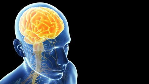 'Covid-19 geçirenlerin beyninde küçülme tespit edildi'