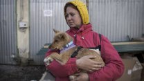 Lviv, savaş bölgelerinden kurtarılan hayvanların barınağı oldu