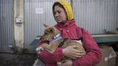 Lviv, savaş bölgelerinden kurtarılan hayvanların barınağı oldu