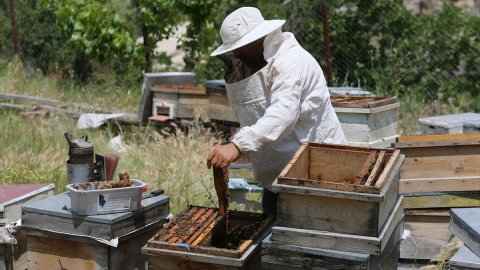 Bahçesine toplanan arılarla başladığı üretimi 30 yıldır sürdürüyor
