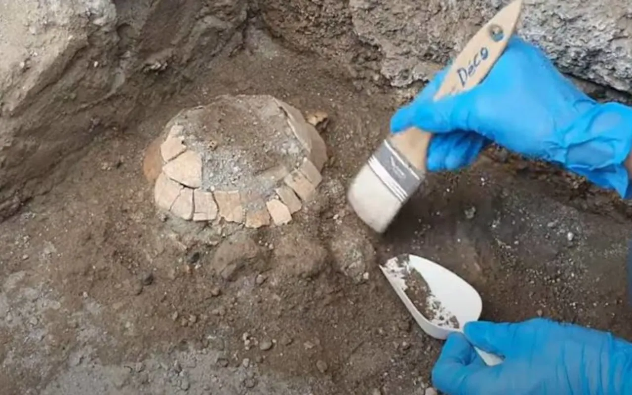 Pompei Antik Kenti'ndeki kazılarda içinde yumurtasıyla kaplumbağa kalıntısı bulundu