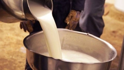 Süt krizi büyüyor: Üreticiler artan maliyetten şikayetçi!