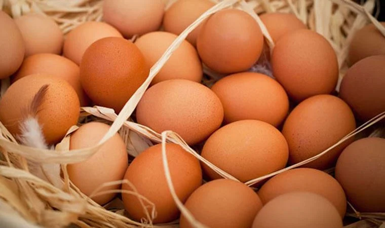 Yumurta üretiminde büyük kriz: Üretim durabilir!
