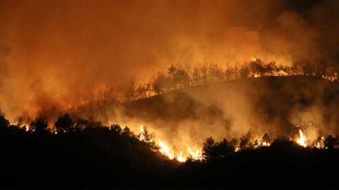 Hatay'da orman yangını sürüyor