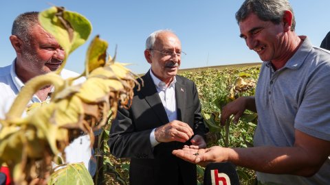 Kılıçdaroğlu Edirne'de ayçiçek üreticisi ile buluştu: "Alım fiyatının 16 lira olması lazım"