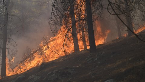 Adıyaman'da orman yangını yeniden başladı - Yerelin Gündemi