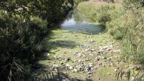 Tunca Nehri can çekişiyor: Çöplüğe döndü!