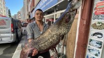 Tekirdağ'daki balıkçı oltayla 70 kiloluk yayın balığı tuttu