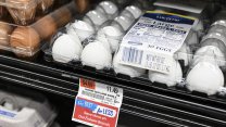 Kuş gribi salgını ve enflasyon, ABD'de yumurta fiyatlarını vurdu!