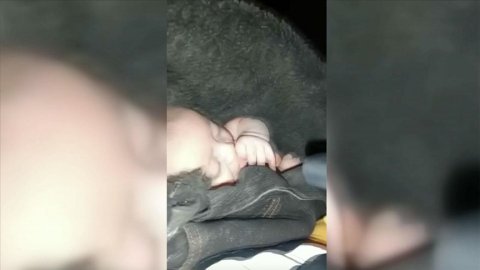 Elbistan'da mucize: 2 aylık bebek enkazdan elini emerek çıktı